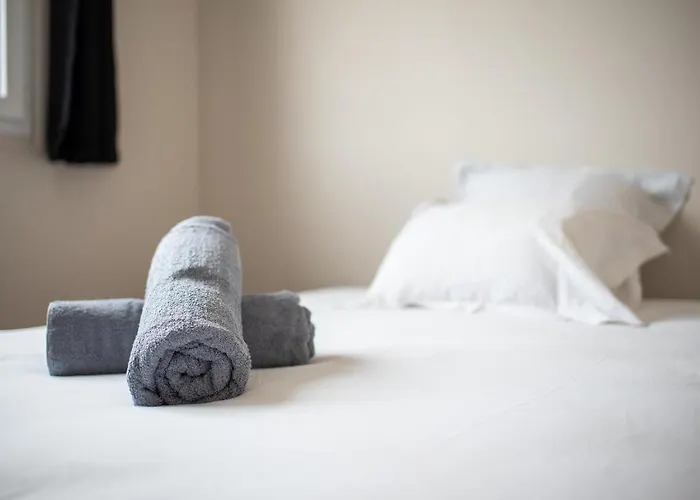 Appartement T3 Centre Avec Parking Gratuit Avec Balcons