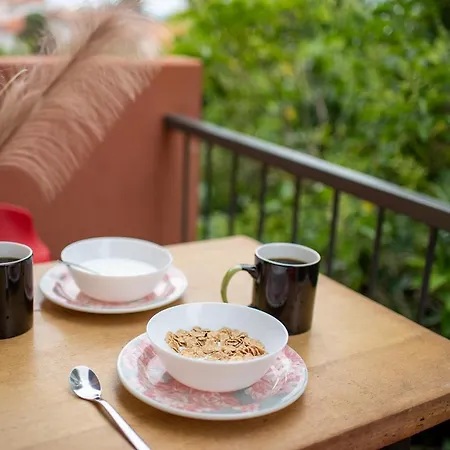 T3 Centre Avec Parking Gratuit Avec Balcons * טולוז